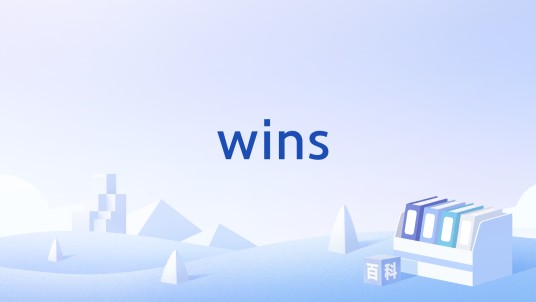 wins（Windows 网际名称服务的简称）