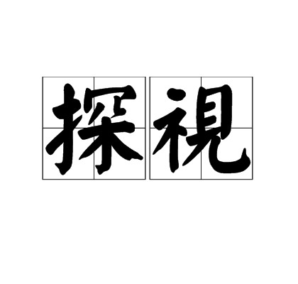探视