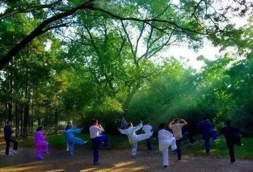森林康养（林业与健康养生融合发展的新业态）