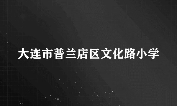 大连市普兰店区文化路小学