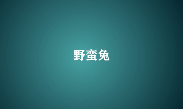 野蛮兔