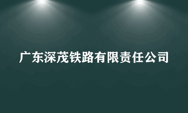 广东深茂铁路有限责任公司