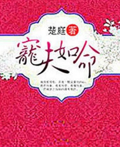 宠夫如命