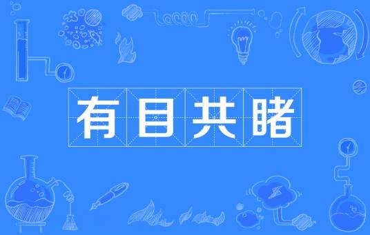 有目共睹