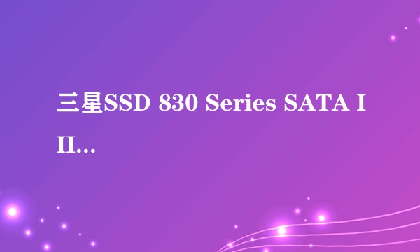 三星SSD 830 Series SATA III(MZ-7PC256D/CN)