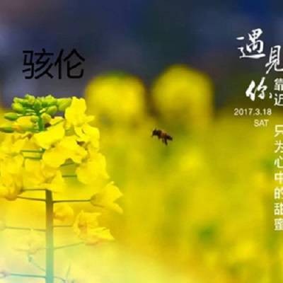 Uplifting Trance (Remix)