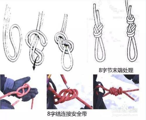 绳结（用绳打出的各式结扣）