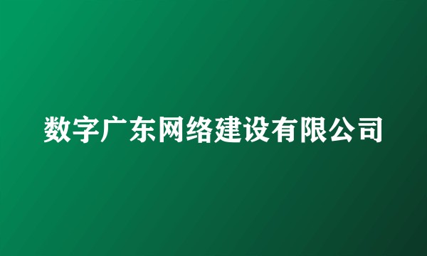 数字广东网络建设有限公司