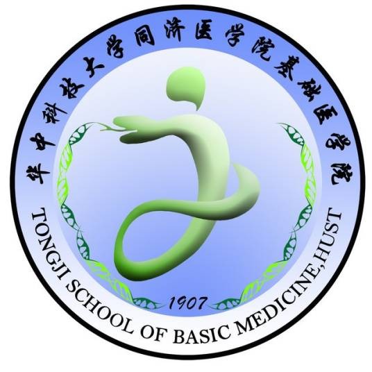 华中科技大学同济医学院基础医学院