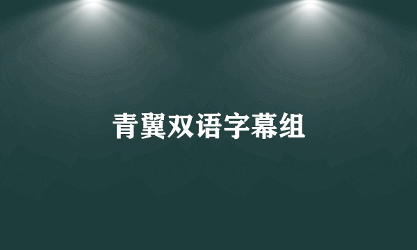 青翼双语字幕组