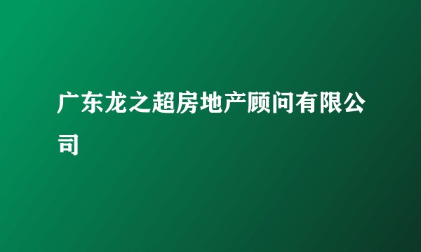 广东龙之超房地产顾问有限公司