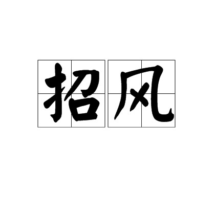 招风