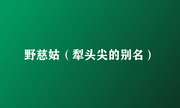 野慈姑（犁头尖的别名）