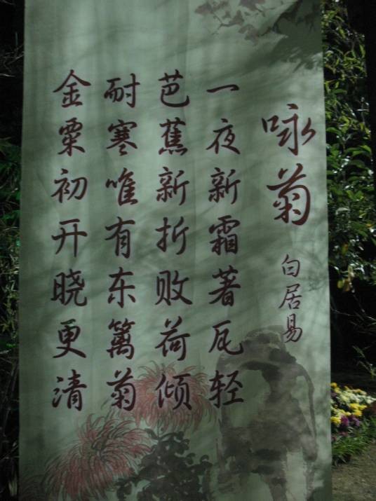 咏菊（唐代白居易诗作）