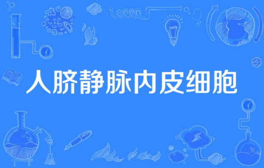 人脐静脉内皮细胞