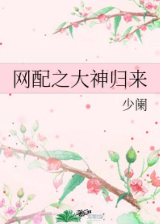 网配之大神归来