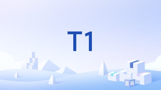 T1（热处理代号）