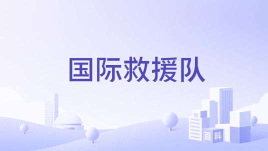 国际救援队