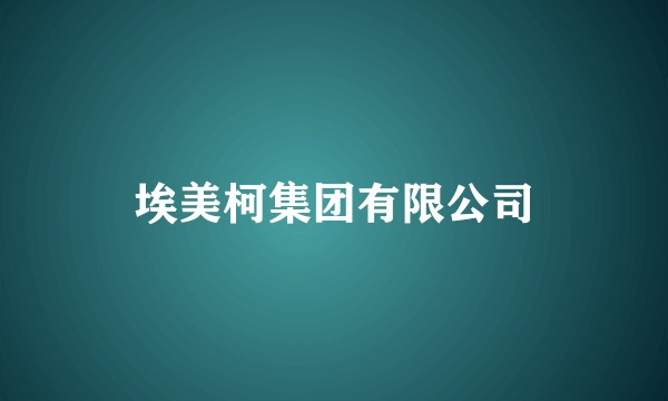 埃美柯集团有限公司