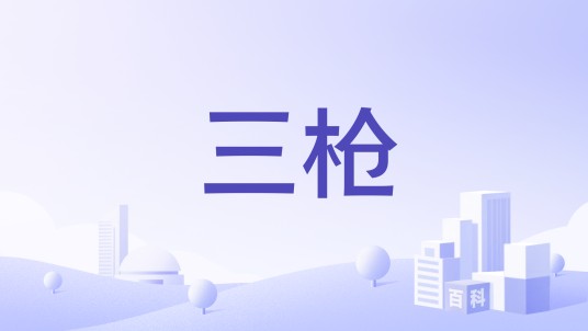 三枪（中华老字号品牌）