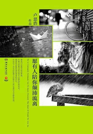 愿有人陪你颠沛流离（2014年在湖南文艺出版社出版的图书）