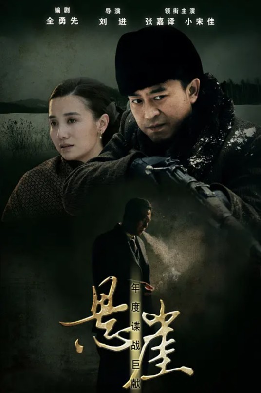 悬崖（2012年张嘉益、宋佳主演的谍战电视剧）