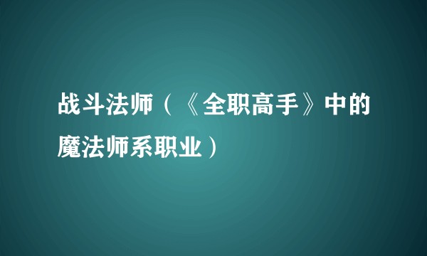战斗法师(《全职高手》中的魔法师系职业)