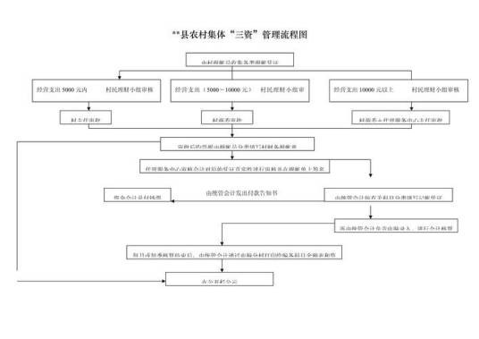 农村集体“三资”管理