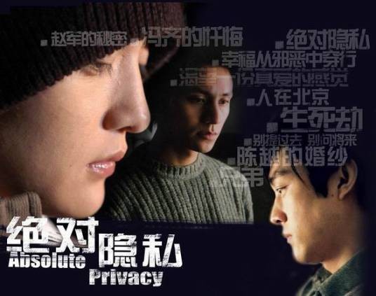 绝对隐私（2005年李少红执导的系列电视电影）