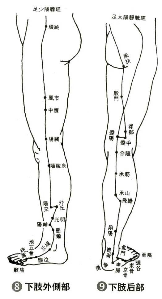 下肢