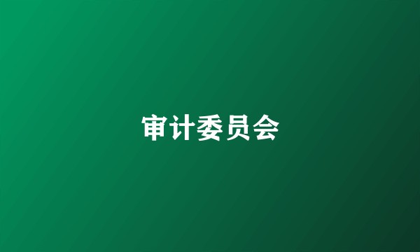 审计委员会