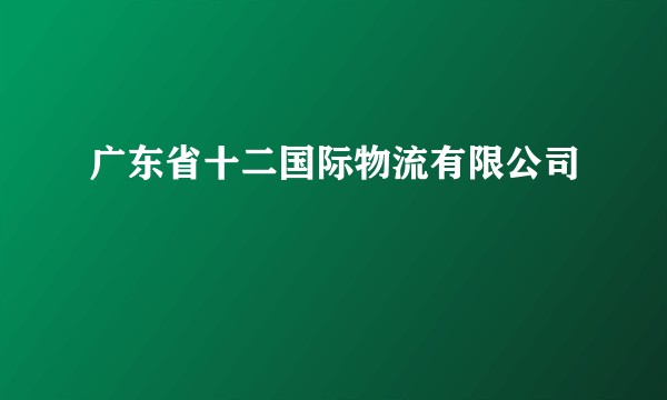 广东省十二国际物流有限公司