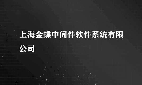上海金蝶中间件软件系统有限公司