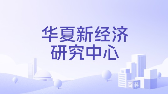 华夏新经济研究中心