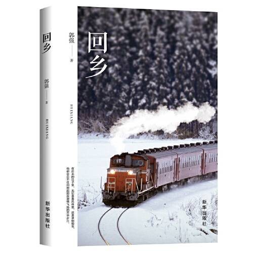 回乡（新华出版社2019年出版的图书）
