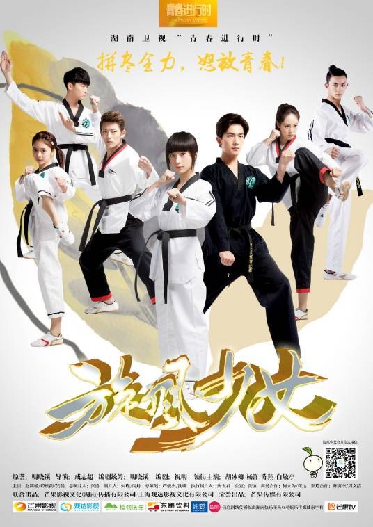 旋风少女（2015年成子瑜、李宏宇执导的青春励志剧）