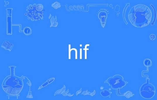 hif（英语单词）