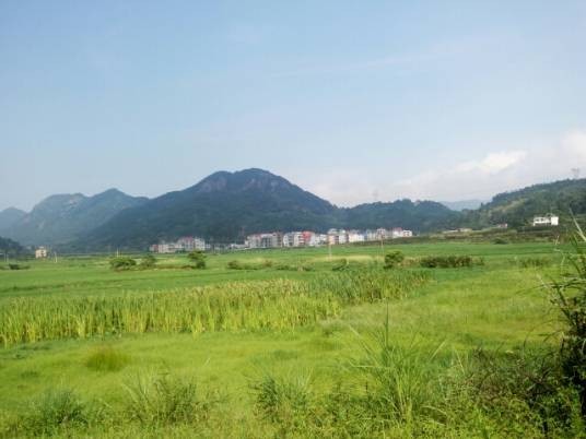 大贤村（福建省莆田市涵江区新县镇下辖村）