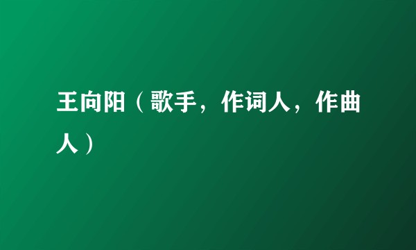 王向阳（歌手，作词人，作曲人）