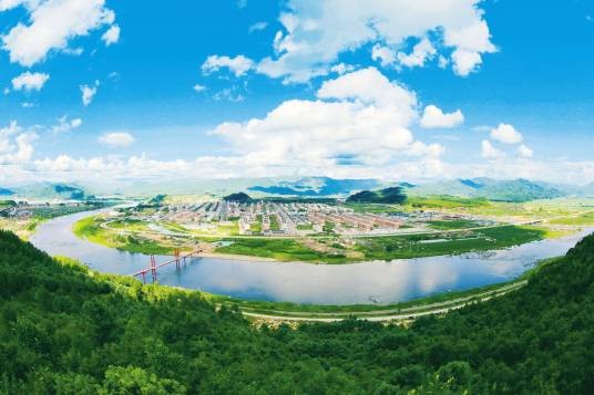金林区