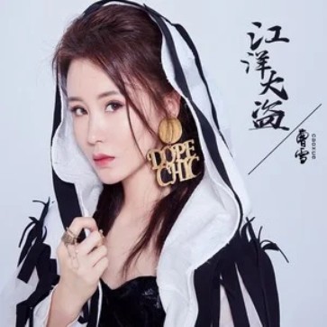 江洋大盗（曹雪演唱歌曲）