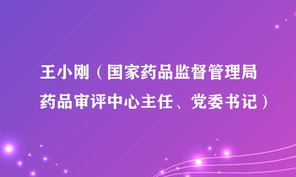 王小刚(国家药品监督管理局药品审评中心主任、党委书记)
