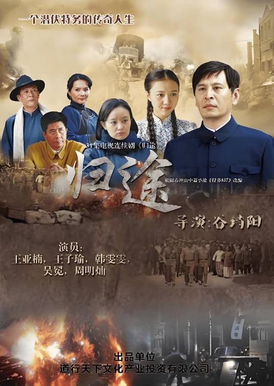 归途(2014年谷诗阳执导的谍战剧)