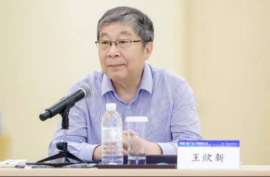 王欣新