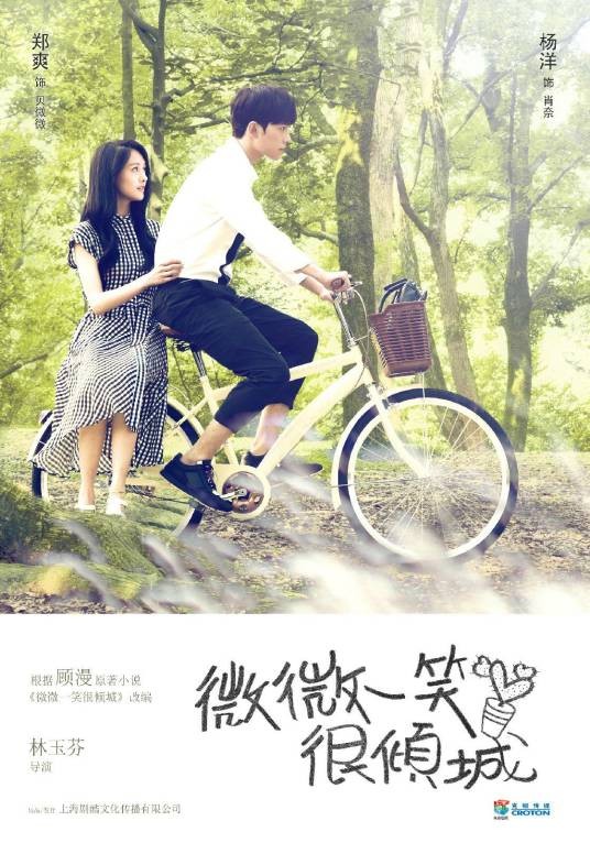 微微一笑很倾城（2016年林玉芬执导的青春偶像剧）