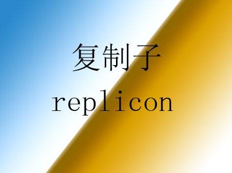 复制子
