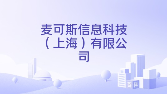 麦可斯信息科技（上海）有限公司