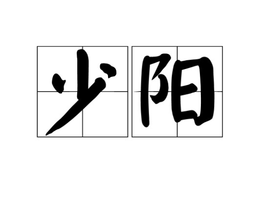 少阳（汉语词语）