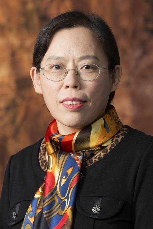 宋玮（中国人民大学财政金融学院副教授）