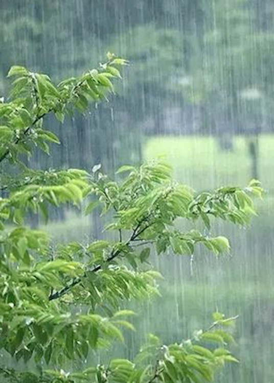 阴雨绵绵（形容阴沉天气细雨连绵不绝的状态）